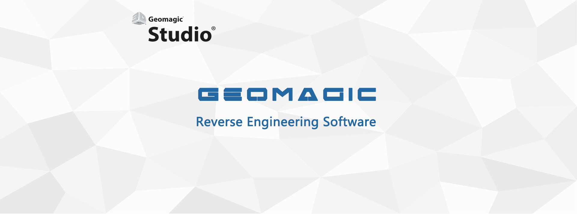 Software Geomagic reverse Design X